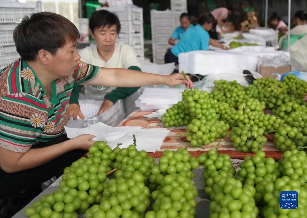 博美登录地址